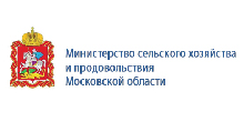 Развитие информационной системы